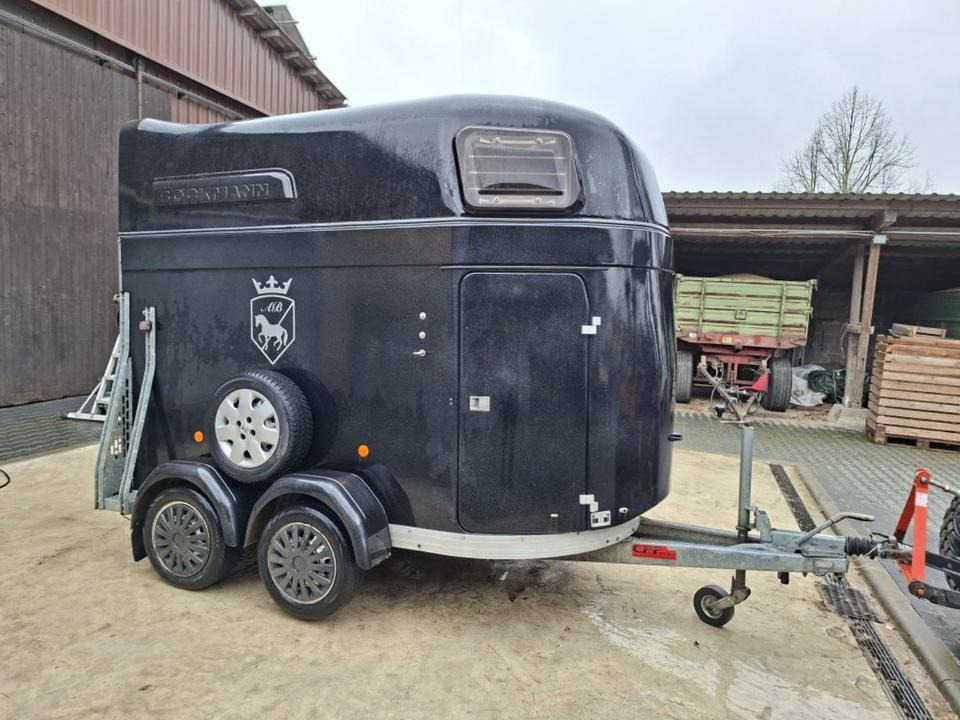 Böckmann, Pferdeanhänger Master, CFF Plus, ALUBODEN, SaKa 100 k