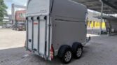 Westfalia Jupiter XL 24. Année 2019